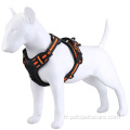 Pet collier poitrine accessoire pechera para perro laisse